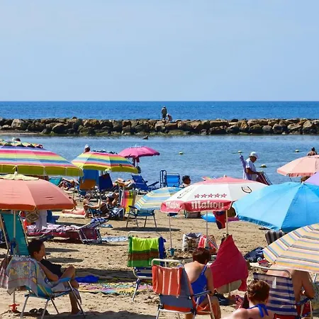 Goleta *